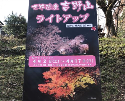 吉野山桜のライトアップ告知